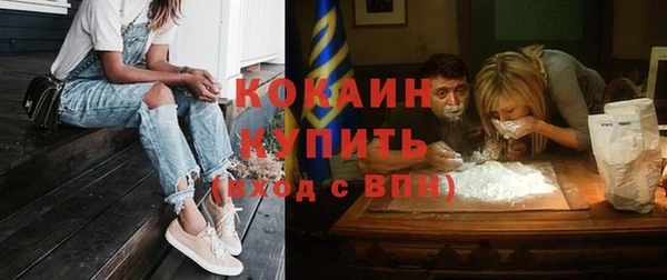 ПСИЛОЦИБИНОВЫЕ ГРИБЫ Заволжье