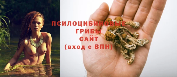 таблы Заводоуковск