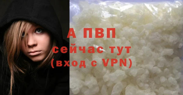ПСИЛОЦИБИНОВЫЕ ГРИБЫ Заволжье