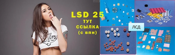 ПСИЛОЦИБИНОВЫЕ ГРИБЫ Заволжье