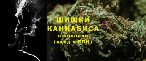 ПСИЛОЦИБИНОВЫЕ ГРИБЫ Заволжье