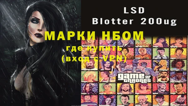 ПСИЛОЦИБИНОВЫЕ ГРИБЫ Заволжье